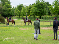 CH290522-20 - Charlie Hills Stable Visit